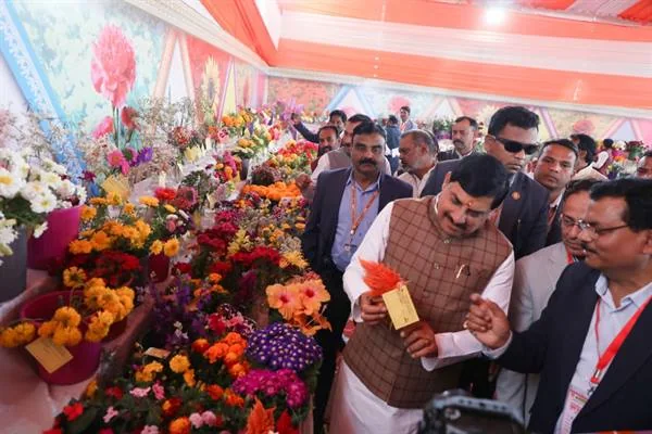 सकल घरेलू उत्पाद में भारत का प्रभावशाली प्रदर्शन