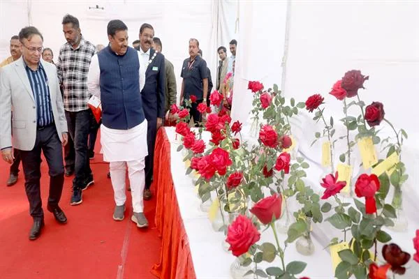 युवराज, डिविलियर्स और गेल वर्ल्ड चैंपियनशिप ऑफ लीजेंड्स में खेलेंगे:3 अक्टूबर से दुबई-शारजाह में मुकाबले, 10 अक्टूबर को भारत-पाकिस्तान मैच