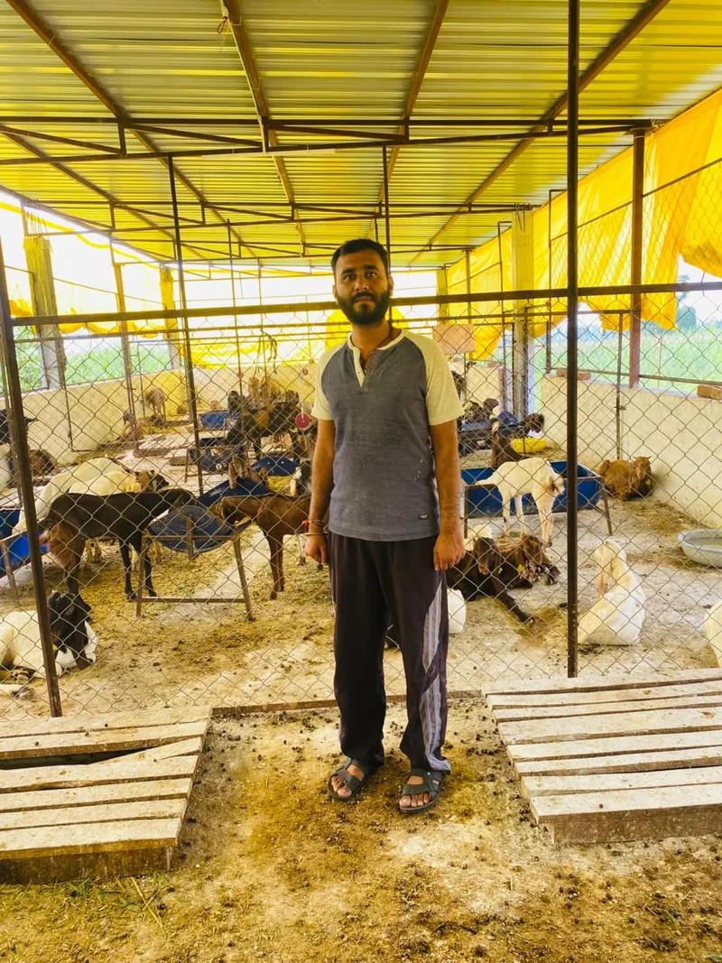 राष्ट्रीय पशुधन मिशन ने बदली केवलारी के नितिन ठाकुर की राह 10 लाख रुपये के अनुदान से शुरू किया आधुनिक बकरी…